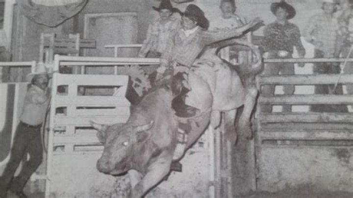 Irfaan Ali (1980 ) &bull;