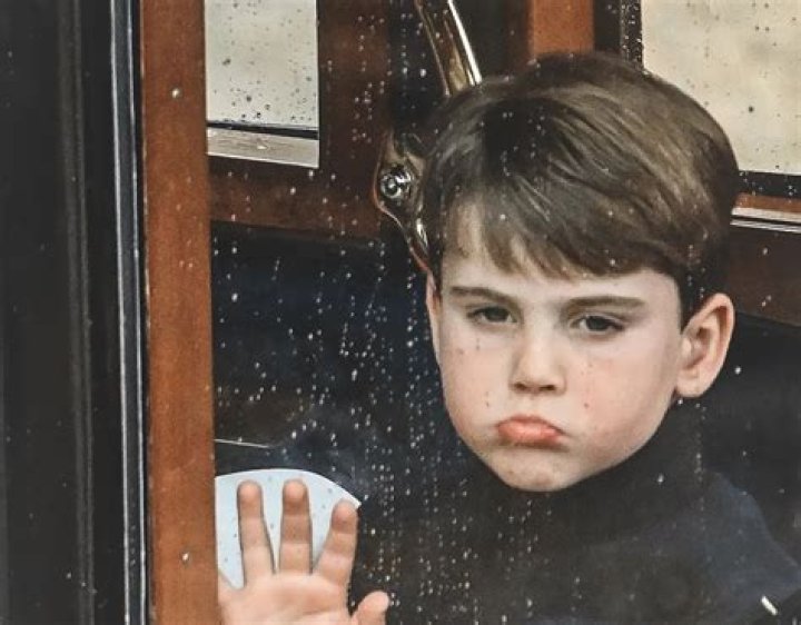 Is Prince Louis Autistic? Health Update by Tvshowstars Medium