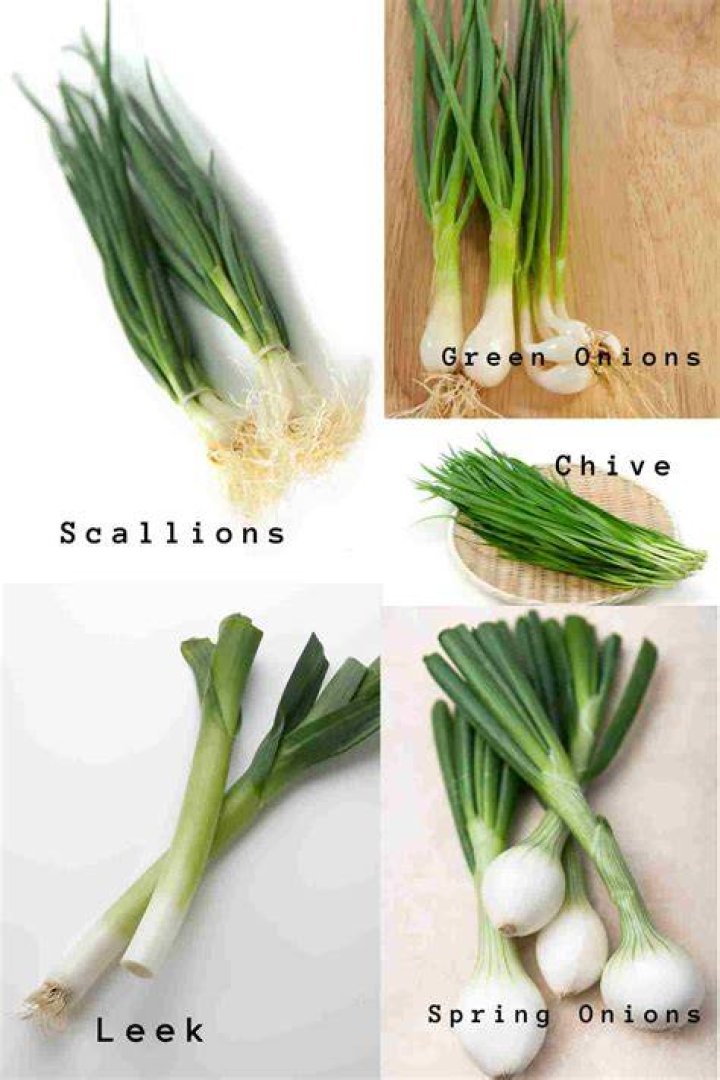 Is Timothy Leeks Dead or Alive? His Current Status