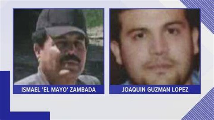 Ismael El Mayo Zambada Net Worth And Associate Drug Lords
