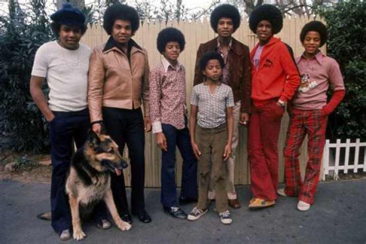 Jackson Dynasty The Jackson Family History from 1928 to 2018 The