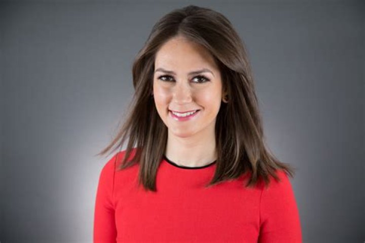 Jessica Tarlov Fox News Progressive New Star Mediaite Q&A