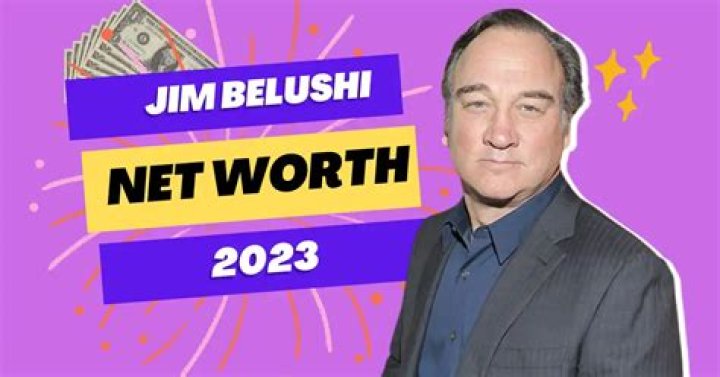 Jim Belushi Net Worth 2023 (With Yearly Earning Highlights)