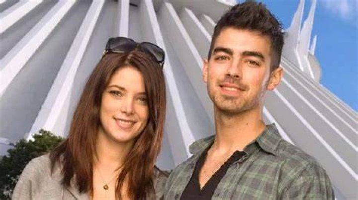 Joe Jonas, Ashley Greene Remain Friends; Exes Partied Together In Las