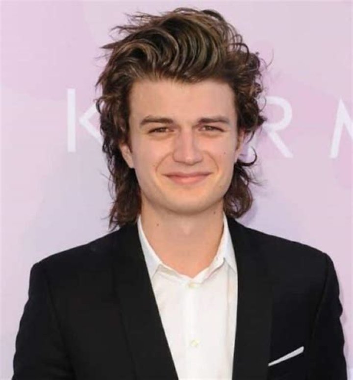 Joe Keery Wiki, Bio, Age, Net Worth, and Other Facts Facts Five