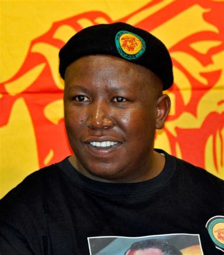 Julius Malema / They Didn T Bring Anything Says Malema As Eff Shuts