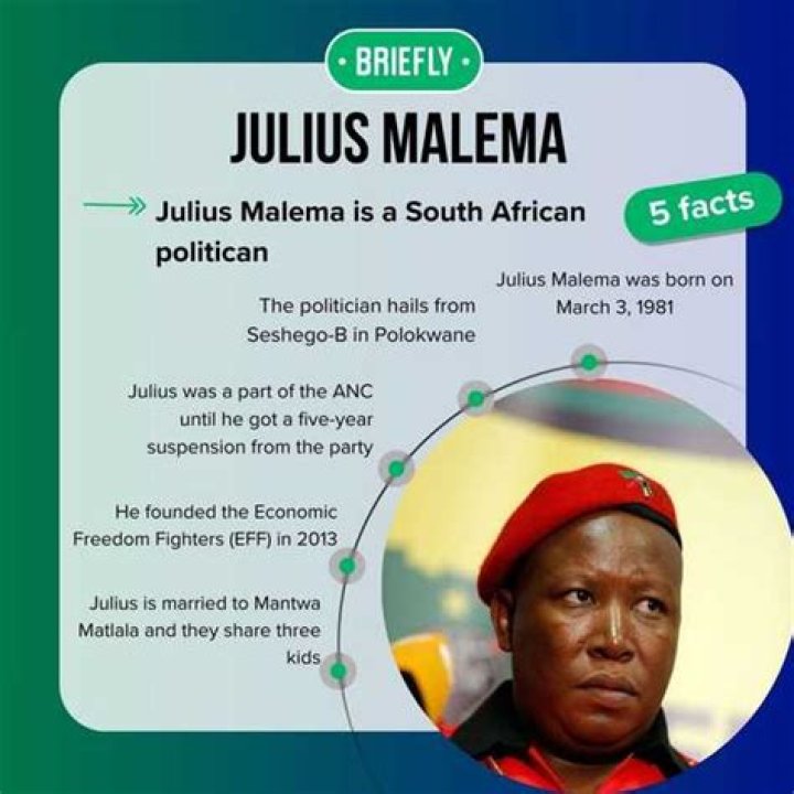 Julius Malema Net Worth, Bio, Wiki, Age, Wife, Education, Challenge