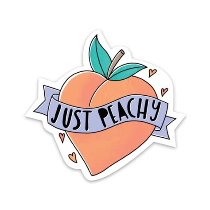Just Peachy Mental Health Sticker Big Moods