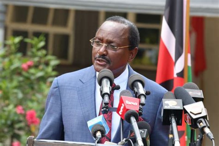 Kalonzo Musyoka moves to annul Wiper, NASA marriage