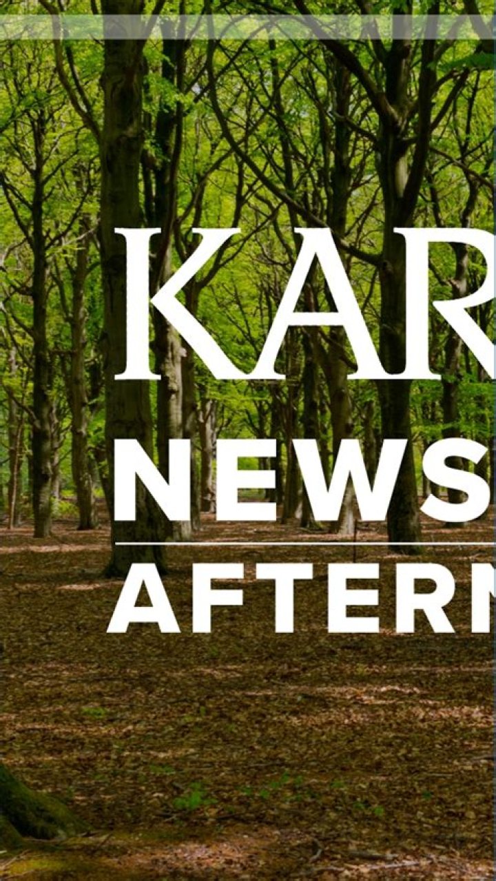 KARE 11's Randy Shaver diagnosed with prostate cancer