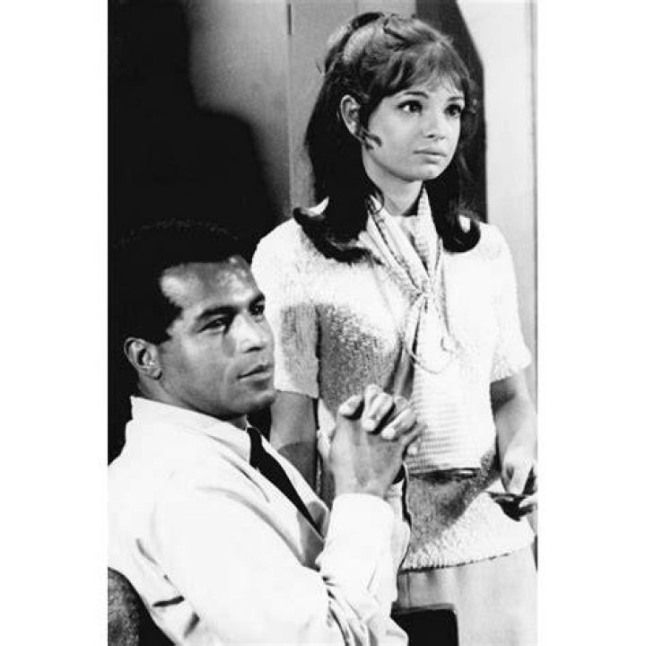 Karen Valentine Inside the life of the celebrated actress and icon
