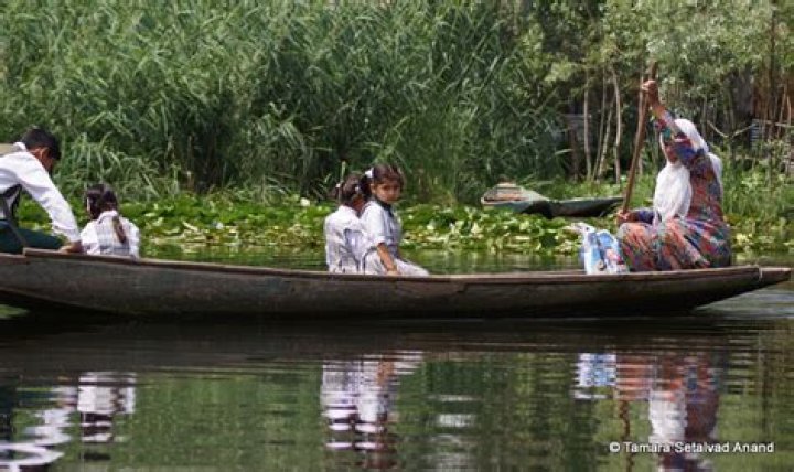 Kashmir 2013 Tamara Anand Setalvad SabrangIndia