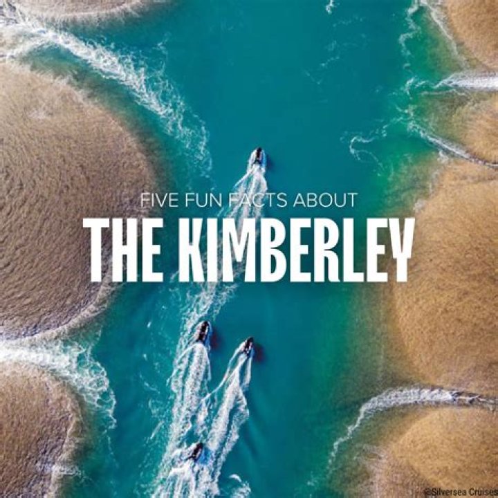 Kimberley Conrad Biography Facts, Marriage & Love Life of Model