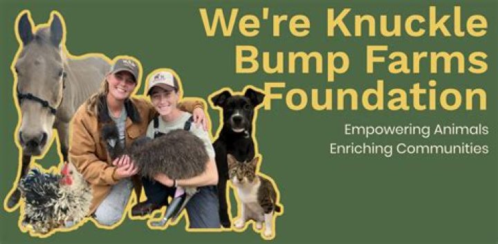 Knuckle Bump Farms knucklebumpfarms TikTok Analytics Profile