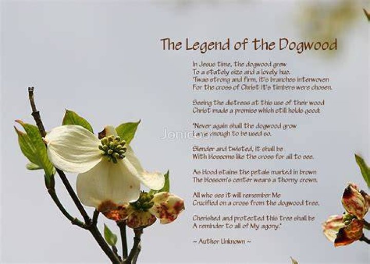 Legend of the Dogwood Tree Printable The Legend Of The Dogwood by