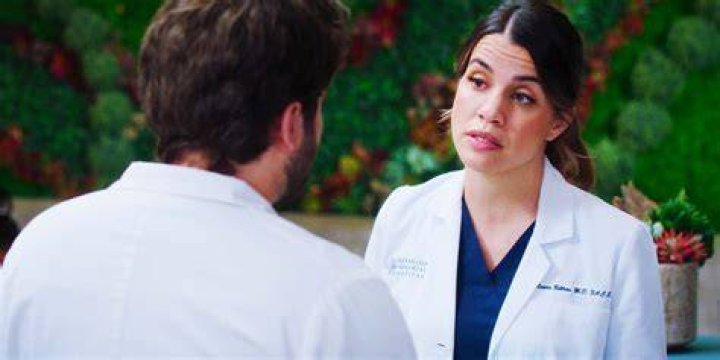 Levi Schmitt 0.1 em 2021 Grey's anatomy, Atores, Personagem