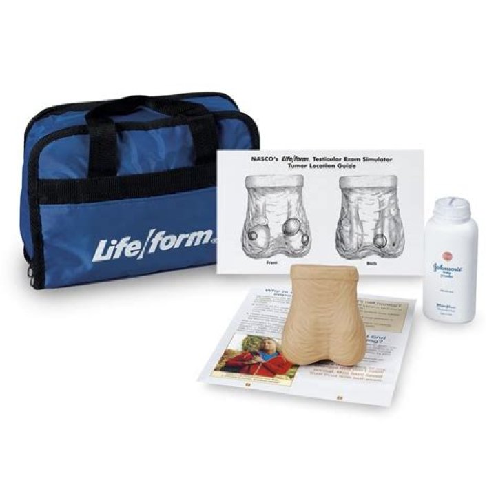 LF01143 Life/form Testicular Exam Simulator