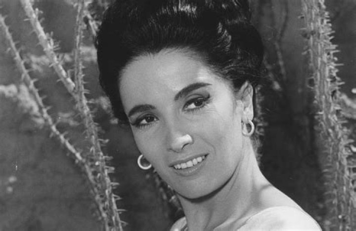 Linda Cristal Bio, Affair, Single, Net Worth, Ethnicity, Salary, Age