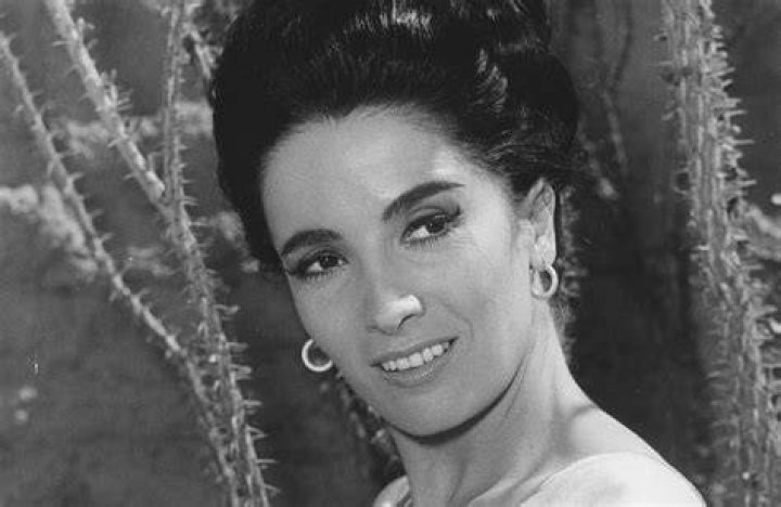 Linda Cristal Net Worth (2024 Update)