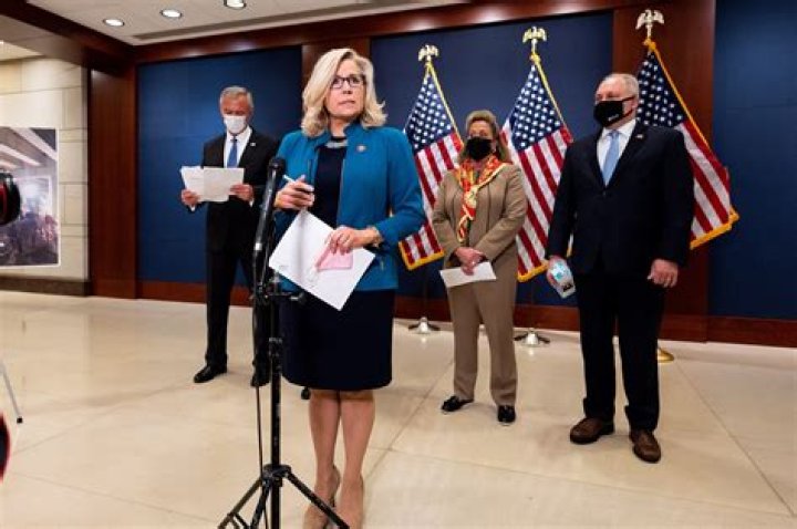 Liz Cheney takes a stand for family values The Aggie