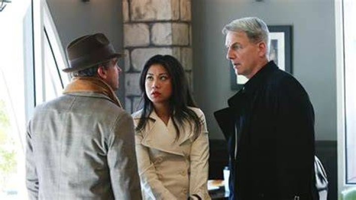 Liza Lapira Looks Back on 'NCIS' Twist & Surprising Her Mom for Her