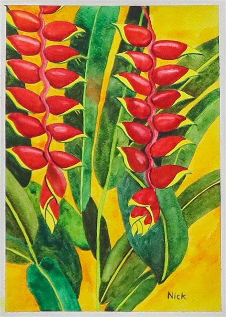 LOCAL ARTS Nicole Power’s Island Pride Newfoundland Herald
