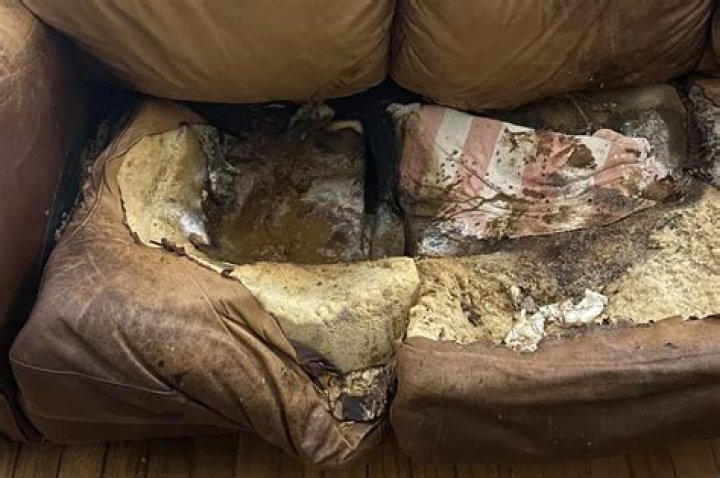 Louisiana woman found dead in shocking neglect case, &lsquo;melted&rsquo; into
