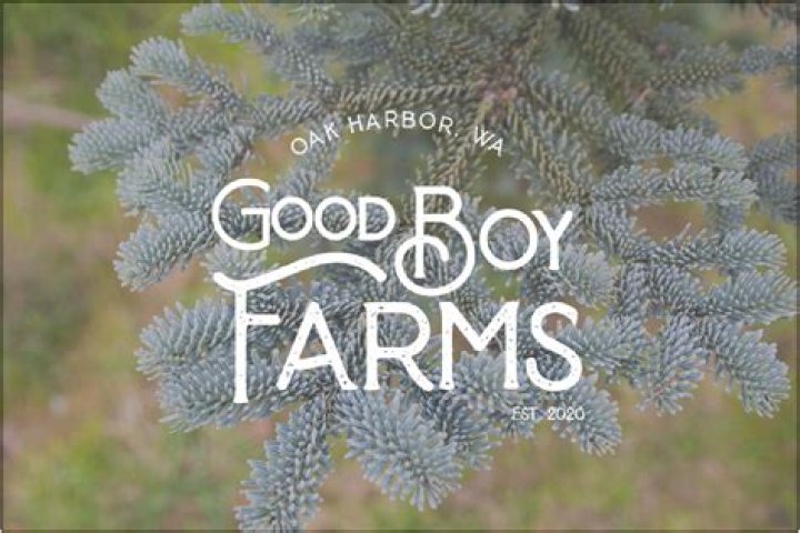 Lyric Goldberg Tonaka Farms 2015 Pumpkin Patch YouTube