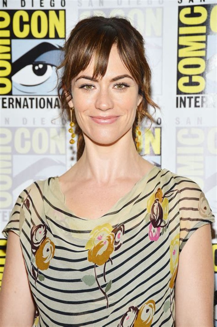 Maggie Siff Net Worth, Bio, Height, Family, Age, Weight, Wiki 2023