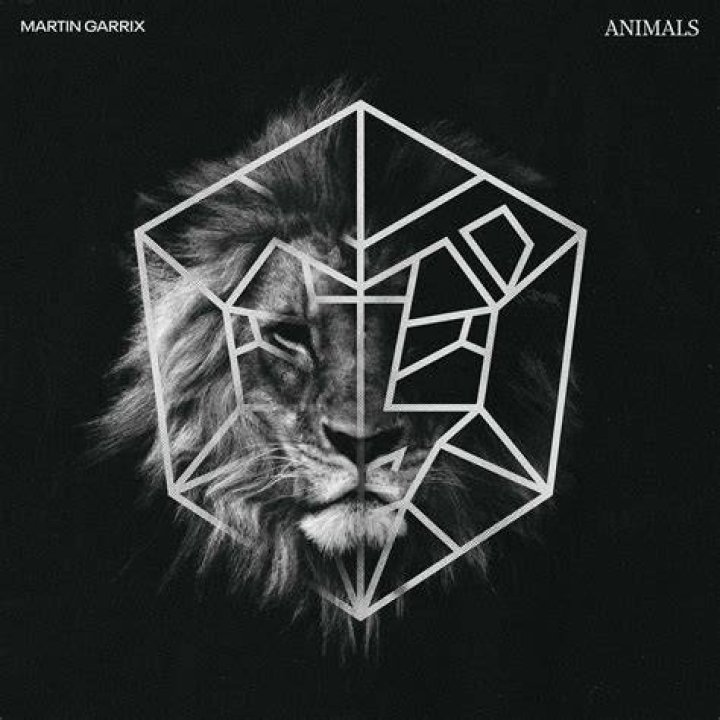 martin garrix animals jacket drewvanackerage