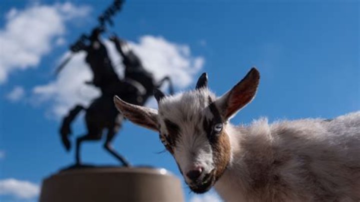 Meet &lsquo;Jeopardy! GOAT' Winner Ken Jennings&rsquo; Beautiful Wife Mindy and