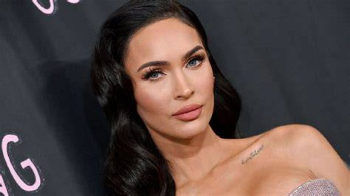 Megan Fox 'Teenage Mutant Ninja Turtles' Press Conference in Beverly