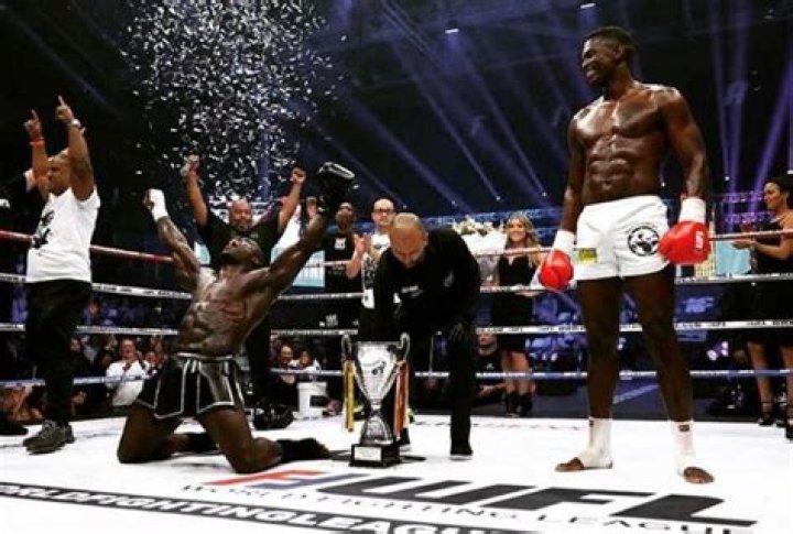 Melvin Manhoef Biography Line