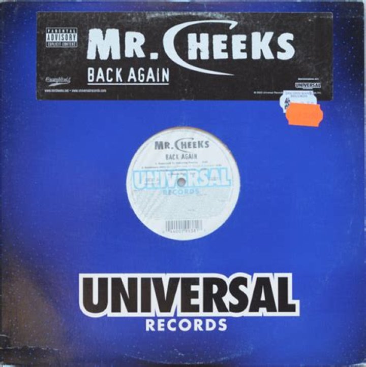 Mr. Cheeks Discography Discogs