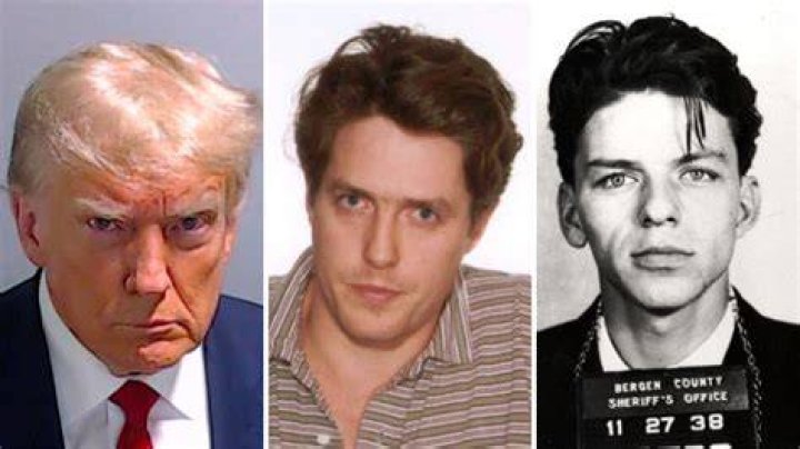 Mug shots, Celebrity mugshots, Tommy lee