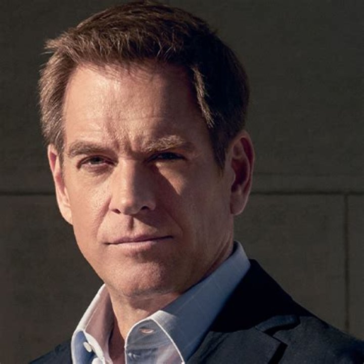 NCIS star Michael Weatherly's controversial engagement to Hollywood