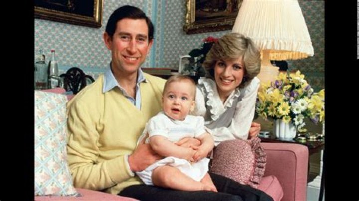New conspiracy claim in Princess Diana death sparks talk