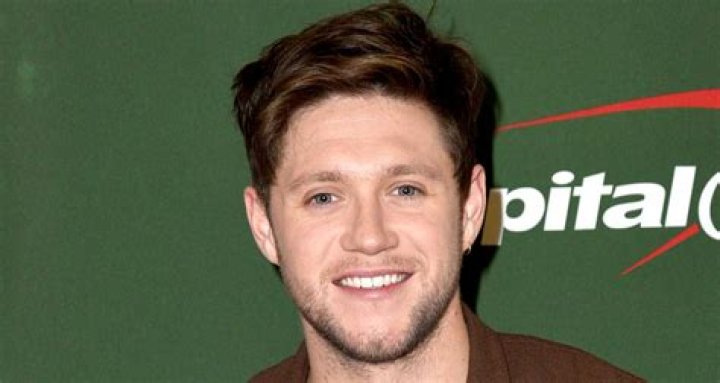 Niall Horan is Joining This Hit Singing Competition Series! Newsies