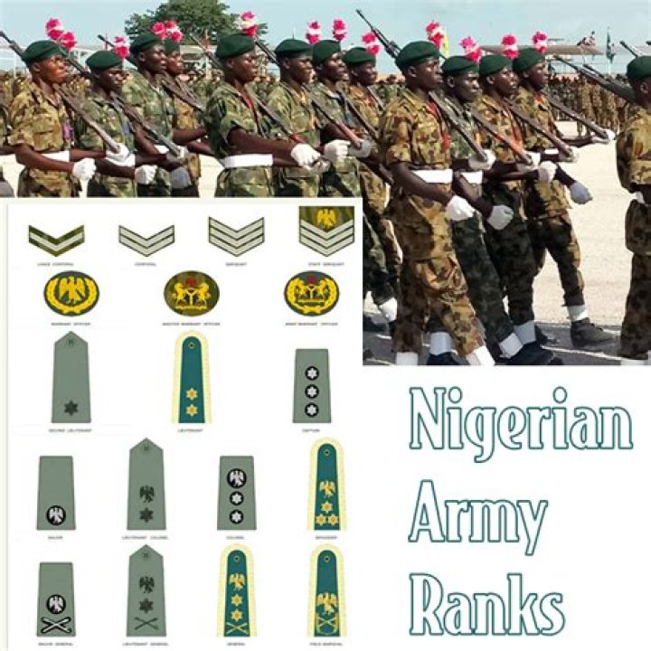 Nigerian Army Ranks Badges Picture