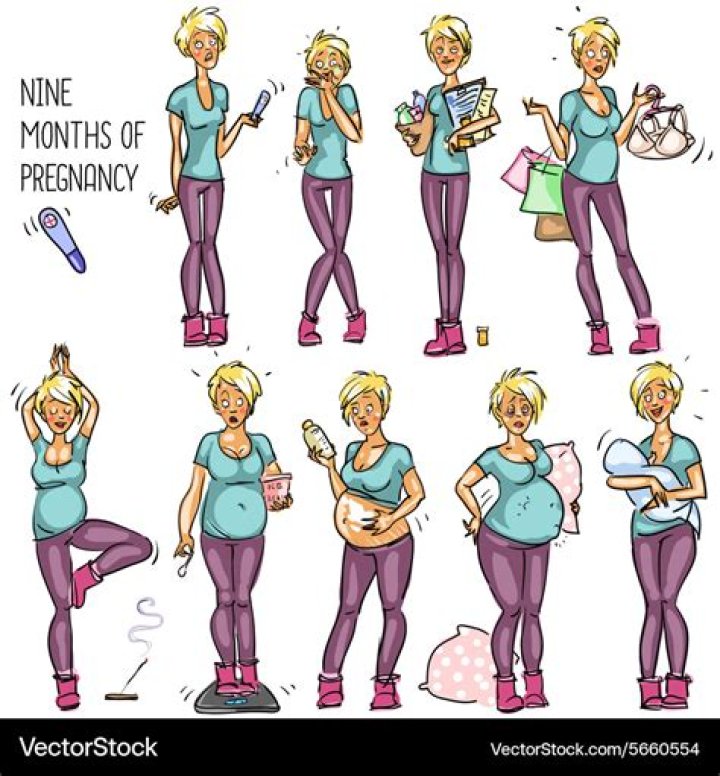 Nine months of pregnancy Royalty Free Vector Image