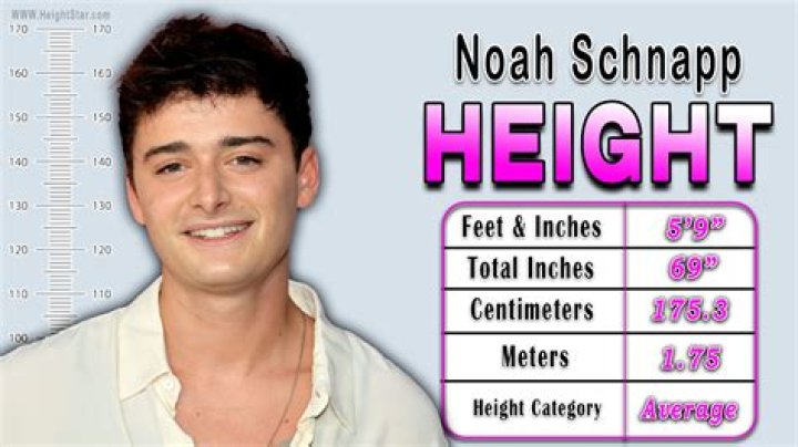 Noah Schnapp Height In Cm 2022