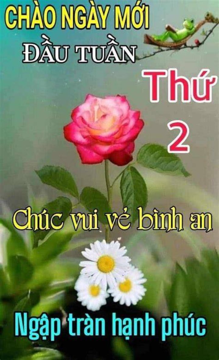 N&ocirc;ng trại vui vẻ tại Th&aacute;p Đen Chapter 1 Octopus team