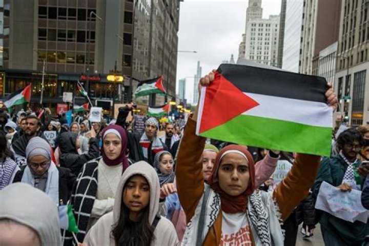 Palestine advocates decry MSNBC&acirc; s cancellation of Mehdi Hasan news
