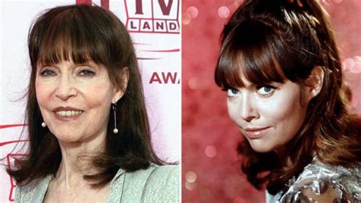 Pam Ferris Movies, Bio and Lists on MUBI