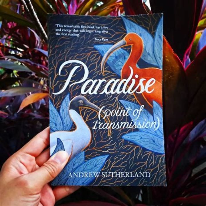 Paradise by Andrew Sutherland &laquo; RTRFM / The Sound Alternative