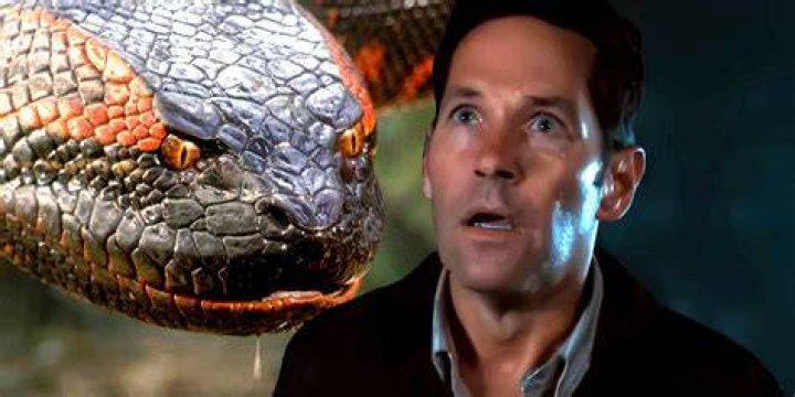 Paul Rudd on why he appears to never age &lsquo;I'm 80 years old on the