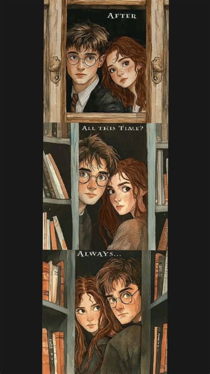 Perfect Harmony Movie fanart fanart.tv