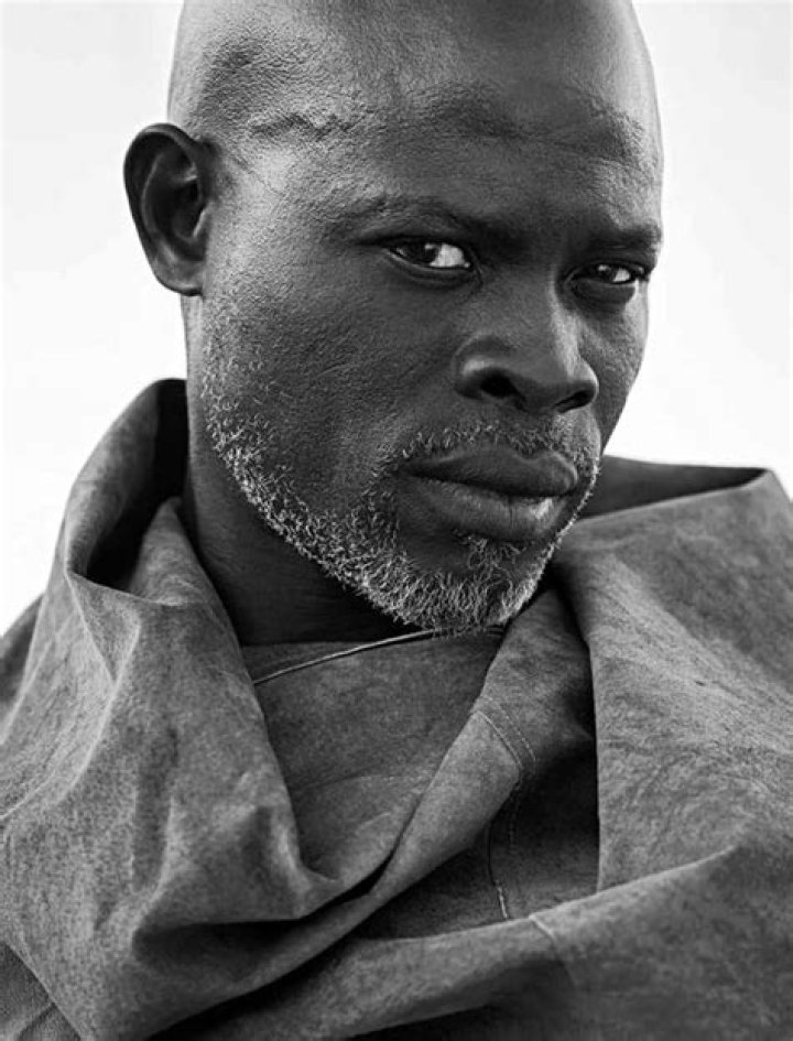 Picture of Djimon Hounsou