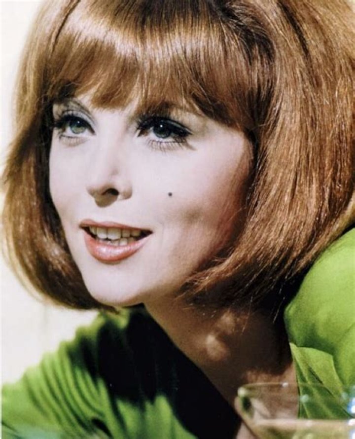 Pin by Richard on Tina LouiseRAH Tina louise, Tina, Celebrity