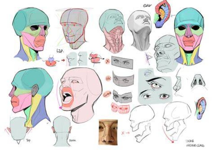 Pin on Anatomy fucking references ffs